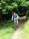 Clain Woods. 14th July 2008