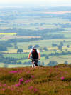 Battersby Moor, 9th July 2008