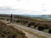 Rosedale Railway track, 22nd July 2008