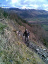 North Loop, Altura Trail, Whinlatter Forest, 6th March 2009