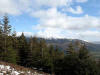 North Loop, Altura Trail, Whinlatter Forest, 6th March 200