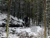 North Loop, Altura Trail, Whinlatter Forest, 4th March 2009