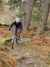 Black Route, Hamsterley Forest, 17th March 2009