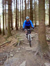 Black Route, Hamsterley Forest, 17th March 2009