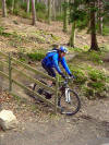 Black Route, Hamsterley Forest, 17th March 2009