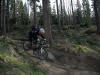 Skills Loop, Hamsterley Forest, 17th March 2009