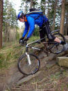 Skills Loop, Hamsterley Forest, 17th March 2009