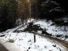 North Loop, Altura Trail, Whinlatter Forest, 4th March 2009