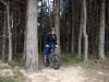 Guisborough Woods. Do it while the trees are still there. 27th March 2009