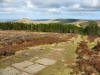 Roseberry Topping from Captain Cooks Monument. 14th march 2008