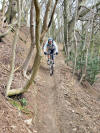 On the prequel to The Chute, Guisborough Woods, 14th March 2008