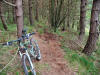 New track beside The Unsuitables, Guisborough Woods. 13th May 2008