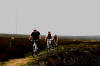 Bilsdale West Moor. 29th May 2008