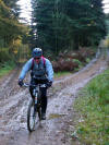 Clain Wood, 12th November 2009