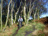 Scarth Wood Moor, 12th November 2009