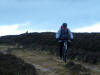 Bilsdale West Moor, 23rd November 2009