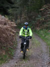 Limekiln Bank, Clain wood, 5th November 2007