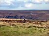 Above Bilsdale, 15th November 2007