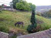 The view from our bedroom, 10th October 2007