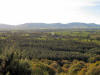 Hasty Bank, Cold Moor, Cringle Moor and Carlton Bank from Easby Moor, 30th October 2007