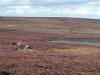 Quakers Causeway, High Moor 6th September 2007