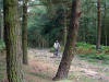 Westworth Wood 6th September 2007