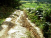 Erosion, Lonsdale Plantation 3rd September 2007