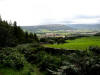 Battersbyand Ingleby Moors from Mill Bank Woods. 10th September 2008