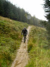 Still raining? Dalby Forest. 30th September 2008