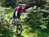 Descending to Peak Scar Woods. 8th September 2008