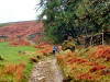 Of course, we'd be riding if it wasn't a footpath