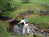 Crossing Wheat Beck