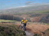 Kildale Moor