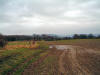 Why are low-level bridleways always like this?