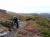 Cringle Moor singletrack