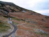 Cringle Moor singletrack