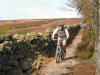 Hamsterley Forest singletrack