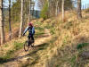 Hamsterley forest singletrack before the revenge of the pine trees