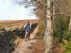 Hamsterley Forest singletrack