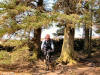 Hamsterley Forest singletrack, Chris giving his new disc brake some serious testing