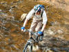 Hamsterley Forest second river crossing