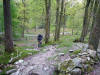 In the woods above Elterwater