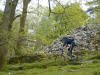 In the woods above Elterwater