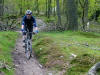 In the woods above Elterwater