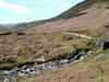 Looking back up the valley