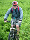 Descending Hawnby Moor from Low Thwaites