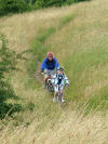 On The Escarpement