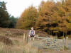 Waiting For Oz, Guisborough Woods