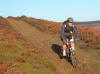 Codhill Heights bridleway