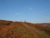 Codhill Heights bridleway